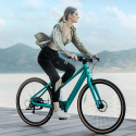 Fiido E-Gravel C22 Electric Bike