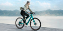 Fiido E-Gravel C22 Electric Bike